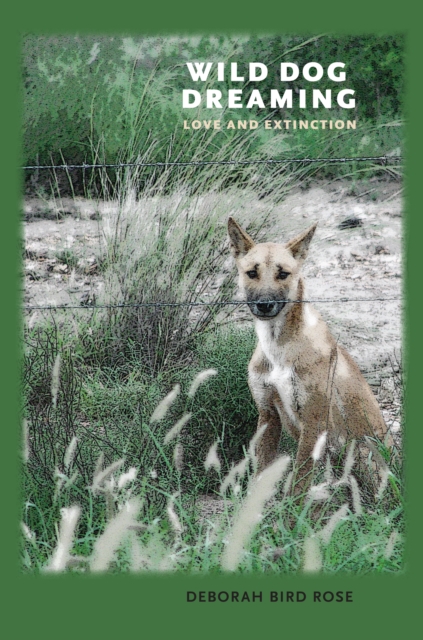 Wild Dog Dreaming : Love and Extinction, EPUB eBook