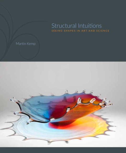 Structural Intuitions : Seeing Shapes in Art and Science, Hardback Book
