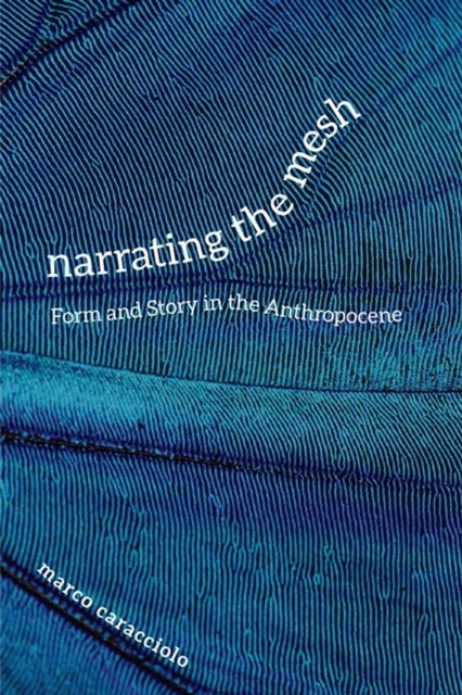 Narrating the Mesh : Form and Story in the Anthropocene, Paperback / softback Book