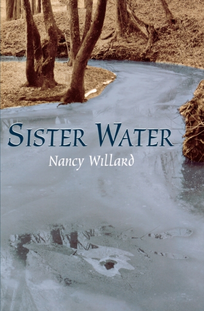 Sister Water : A Novel, Paperback / softback Book