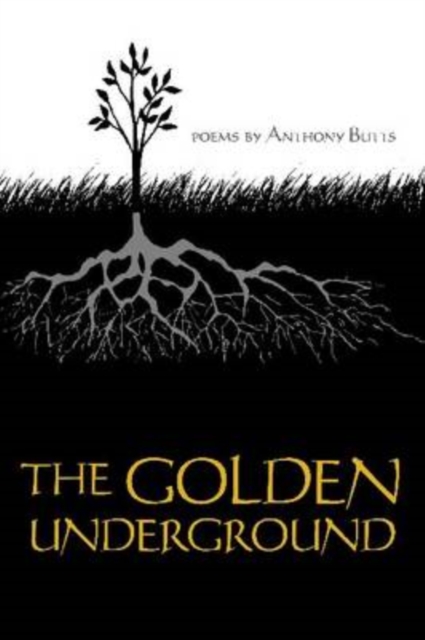 The Golden Underground, CD-ROM Book