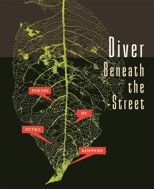 Diver Beneath the Street, Paperback / softback Book