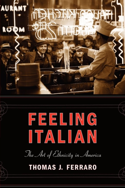 Feeling Italian : The Art of Ethnicity in America, Paperback / softback Book