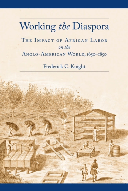 Working the Diaspora : The Impact of African Labor on the Anglo-American World, 1650-1850, EPUB eBook