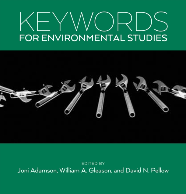 Keywords for Environmental Studies, Hardback Book