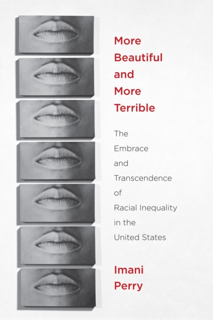 More Beautiful and More Terrible : The Embrace and Transcendence of Racial Inequality in the United States, EPUB eBook