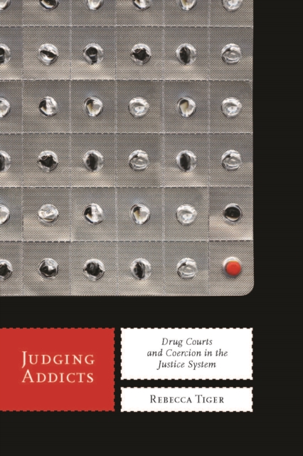 Judging Addicts : Drug Courts and Coercion in the Justice System, Hardback Book