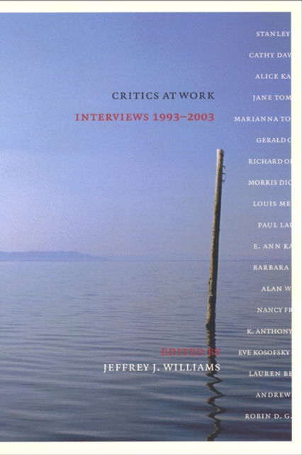 Critics at Work : Interviews 1993-2003, Paperback / softback Book