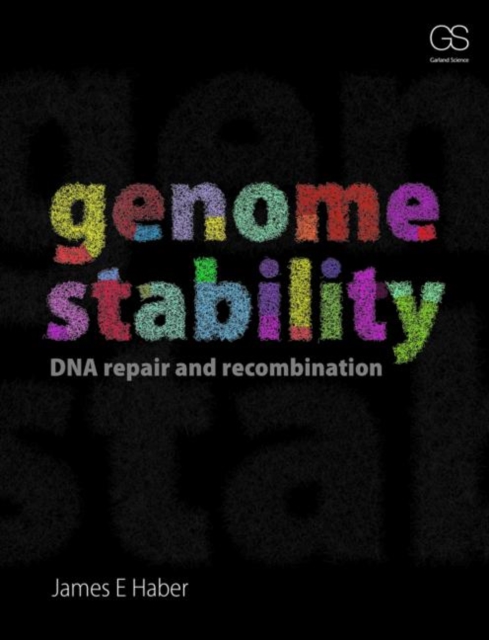 Genome Stability : DNA Repair and Recombination, Paperback / softback Book
