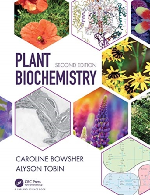 Plant Biochemistry, Paperback / softback Book