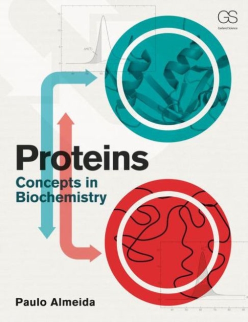 Proteins : Concepts in Biochemistry, Paperback / softback Book