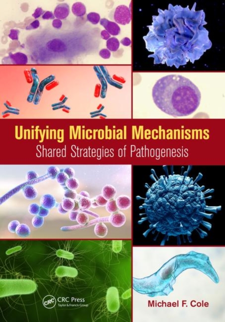 Unifying Microbial Mechanisms : Shared Strategies of Pathogenesis, Paperback / softback Book