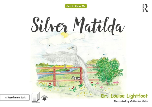 Silver Matilda : Get to Know Me: Depression, Paperback / softback Book