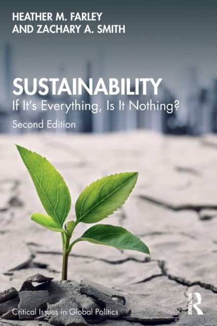 Sustainability : If It's Everything, Is It Nothing?, Paperback / softback Book