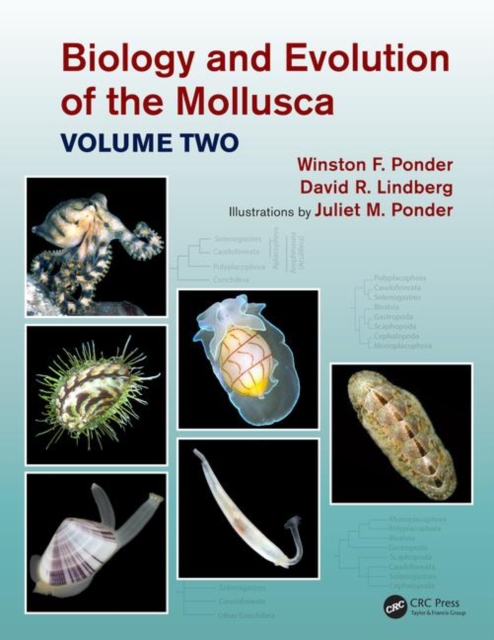 Biology and Evolution of the Mollusca, Volume 2, Hardback Book