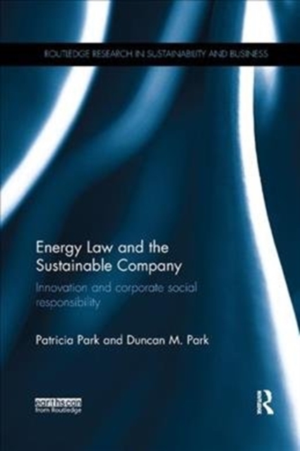 Energy Law and the Sustainable Company : Innovation and corporate social responsibility, Paperback / softback Book