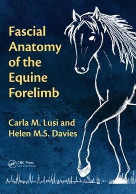 Fascial Anatomy of the Equine Forelimb, Paperback / softback Book