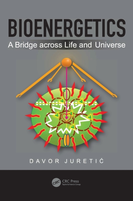 Bioenergetics : A Bridge across Life and Universe, Hardback Book