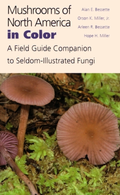 Mushrooms of North America in Color : A Field Guide Companion to Seldom-Illustrated Fungi, Paperback / softback Book