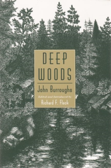 Deep Woods, Paperback / softback Book