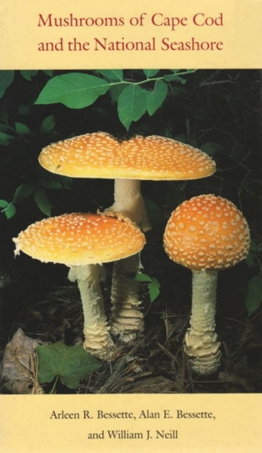 Mushrooms of Cape Cod and the National Seashore, Hardback Book