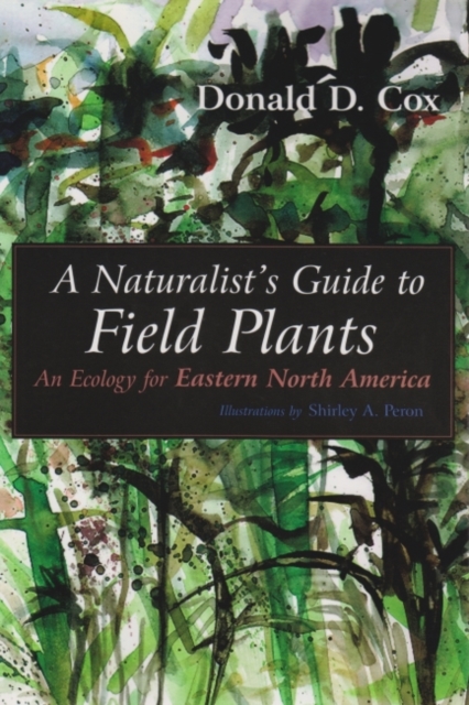 A Naturalist's Guide to Field Plants : An Ecology for Eastern North America, Paperback / softback Book