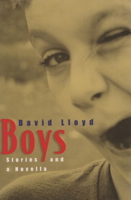 Boys : Stories and a Novella, Hardback Book