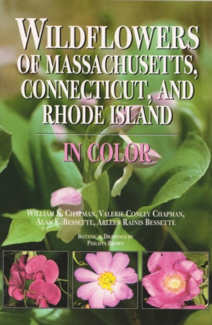 Wildflowers of Massachusetts, Connecticut, and Rhode Island in Color, Paperback / softback Book