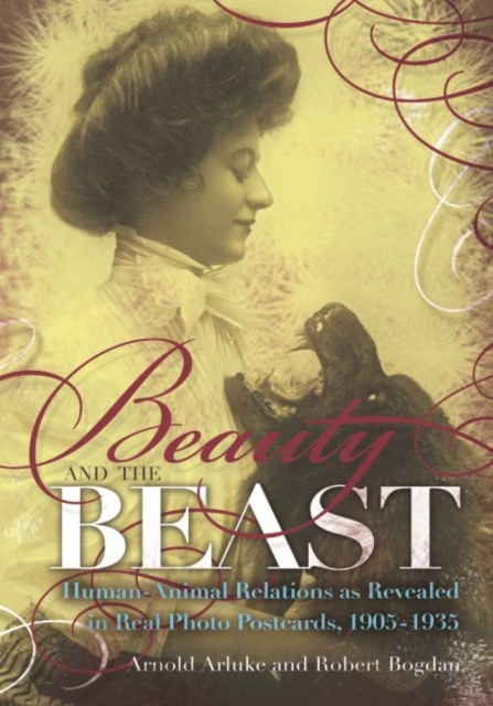 Beauty and the Beast : Human-Animal Relations as Revealed in Real Photo Postcards, 1905-1935, Hardback Book