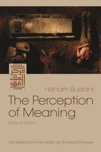 The Perception of Meaning, Paperback / softback Book