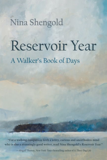 Reservoir Year : A Walker's Book of Days, Paperback / softback Book