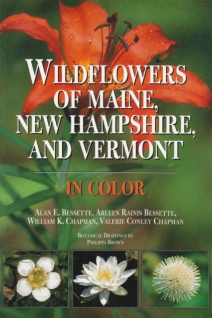 Wildflowers of Maine, New Hampshire, and Vermont in Color, Hardback Book