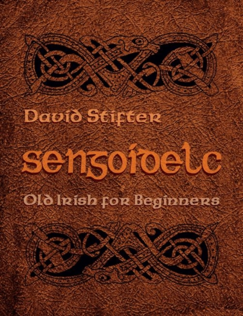 Sengoidelc : Old Irish for Beginners, Paperback / softback Book