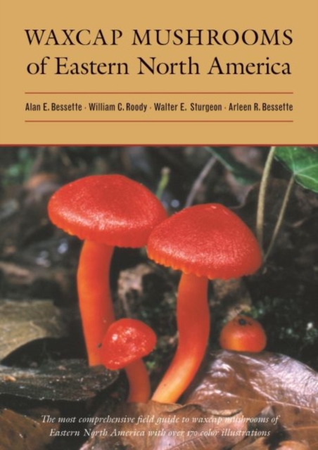 Waxcap Mushrooms of Eastern North America, Hardback Book