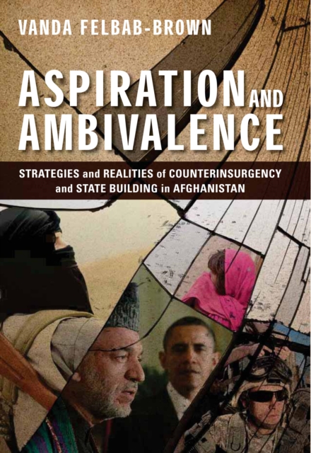 Aspiration and Ambivalence : Strategies and Realities of Counterinsurgency and State-Building in Afghanistan, EPUB eBook