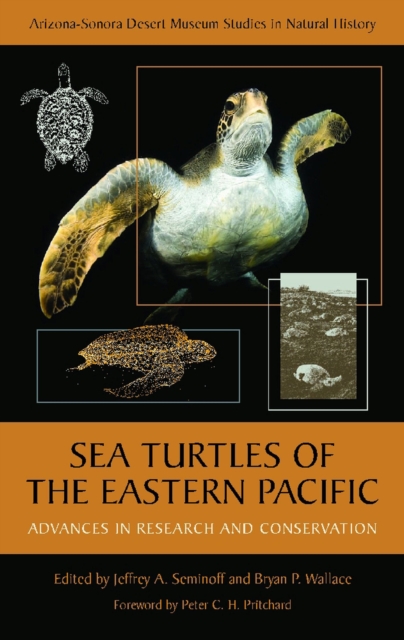 Sea Turtles of the Eastern Pacific : Advances in Research and Conservation, Hardback Book