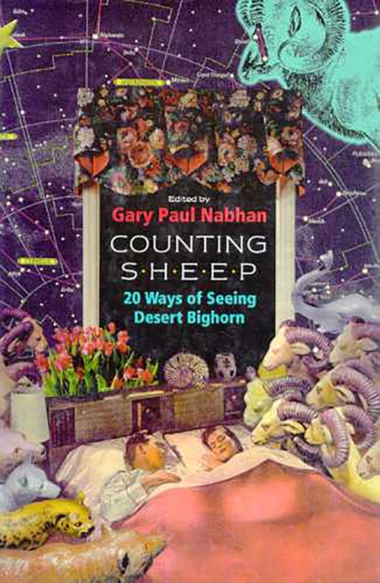 Counting Sheep : Twenty Ways of Seeing Desert Bighorn, Paperback / softback Book