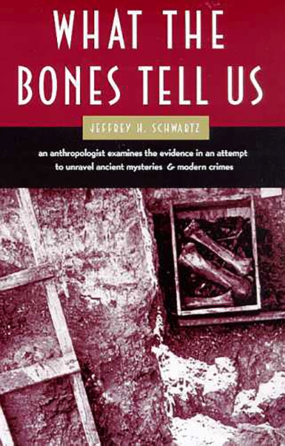 What the Bones Tell Us, Paperback / softback Book