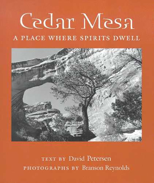 Cedar Mesa : A Place Where Spirits Dwell, Paperback / softback Book