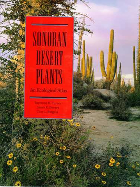 SONORAN DESERT PLANTS, Paperback / softback Book