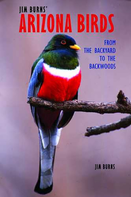 Jim Burns' Arizona Birds : From the Backyard to the Backwoods, Paperback / softback Book