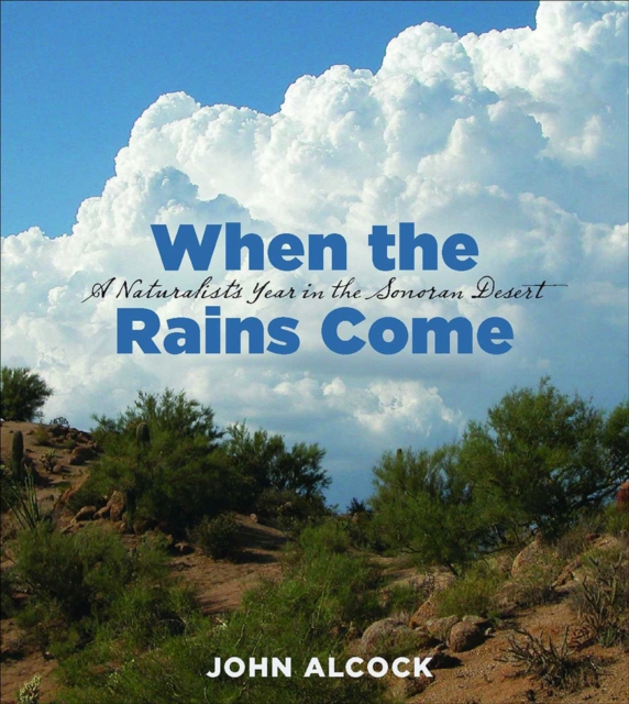 When the Rains Come : A Naturalist's Year in the Sonoran Desert, Paperback / softback Book