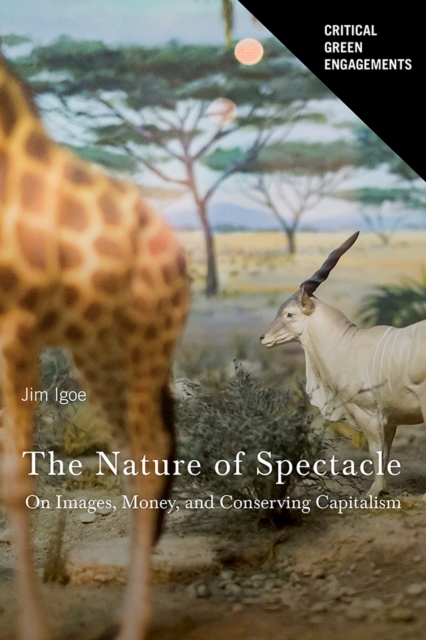 The Nature of Spectacle : On Images, Money, and Conserving Capitalism, Paperback / softback Book