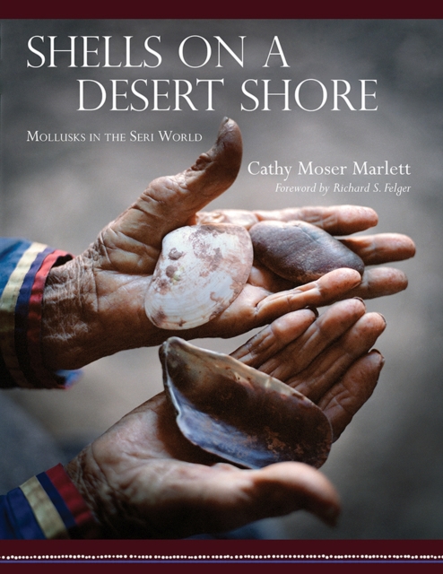Shells on a Desert Shore : Mollusks in the Seri World, Hardback Book