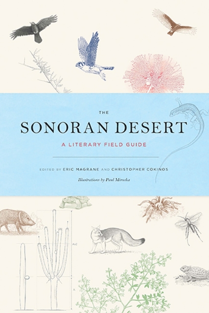 The Sonoran Desert : A Literary Field Guide, Paperback / softback Book
