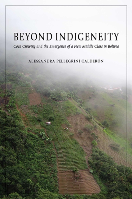 Beyond Indigeneity : Growing and the Emergence of a New Middle Class in Bolivia, Hardback Book