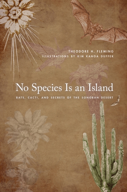 No Species Is an Island : Bats, Cacti, and Secrets of the Sonoran Desert, Paperback / softback Book