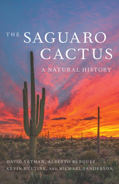 The Saguaro Cactus : A Natural History, Paperback / softback Book