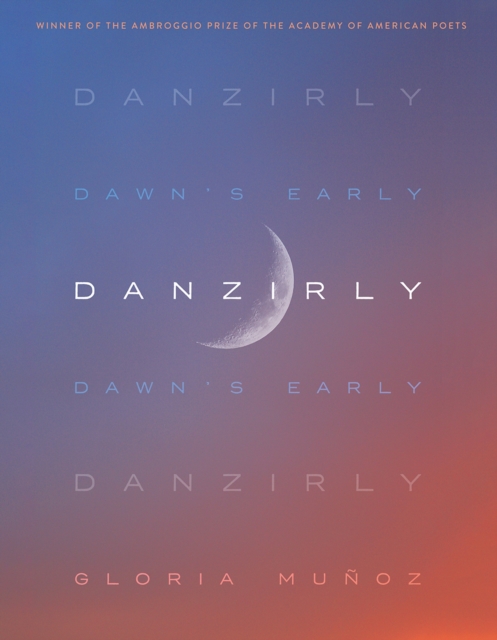 Danzirly, Paperback / softback Book