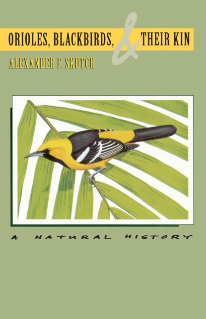 Orioles, Blackbirds, and Their Kin : A Natural History, PDF eBook